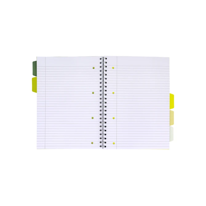 Projectboek Pukka Pad Recycled A4 lijn 5-tabs 4-gaats 200 pagina's 80gr groen