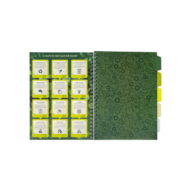 Projectboek Pukka Pad Recycled A4 lijn 5-tabs 4-gaats 200 pagina's 80gr groen