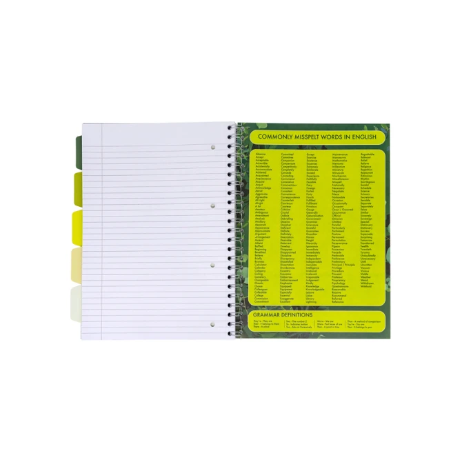Projectboek Pukka Pad Recycled A4 lijn 5-tabs 4-gaats 200 pagina's 80gr groen