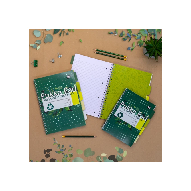 Projectboek Pukka Pad Recycled A4 lijn 5-tabs 4-gaats 200 pagina's 80gr groen