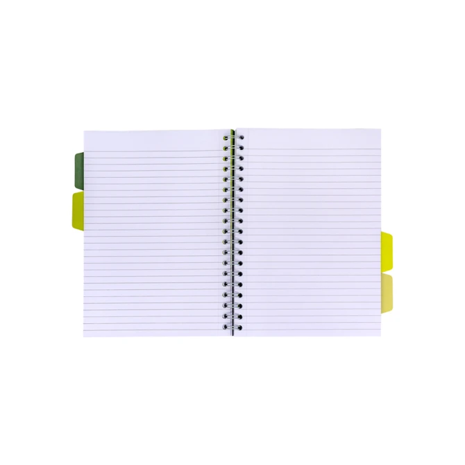 Projectboek Pukka Pad Recycled B5 lijn 4-tabs 200 pagina's 80gr groen