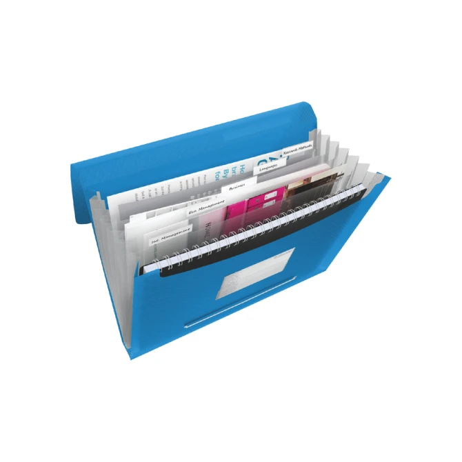 Projectmap Esselte Vivida A4 6 vakken PP blauw