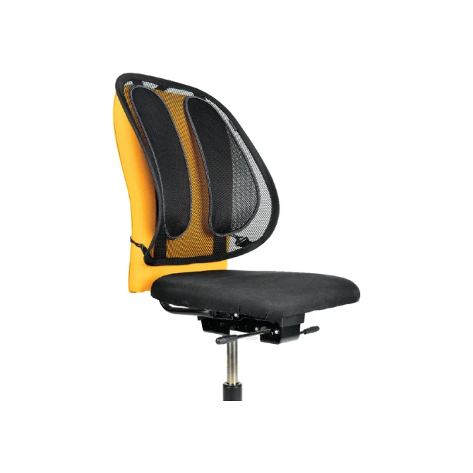 Rugsteun Fellowes Office Suites gaas