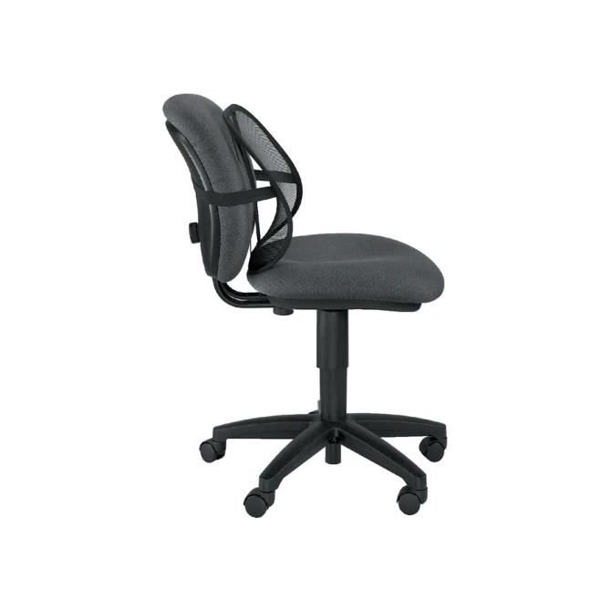 Rugsteun Fellowes Office Suites gaas