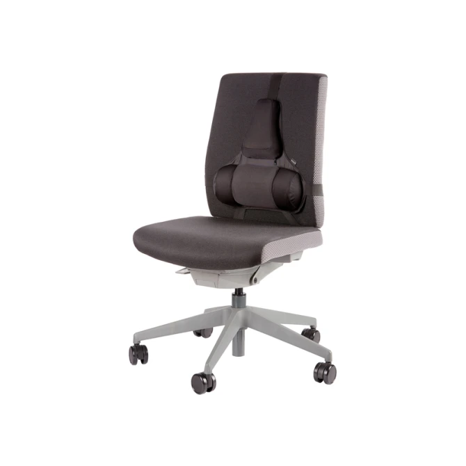 Rugsteun Fellowes Pro Ultieme