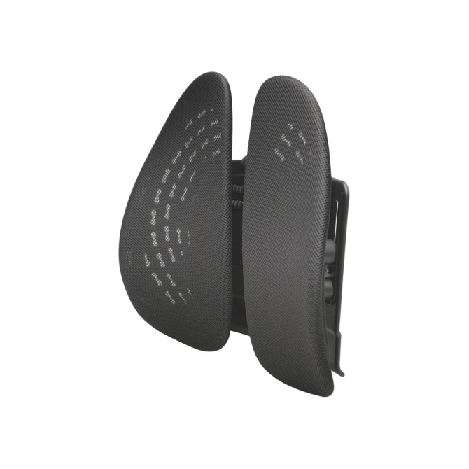 Rugsteun Kensington smartfit zwart