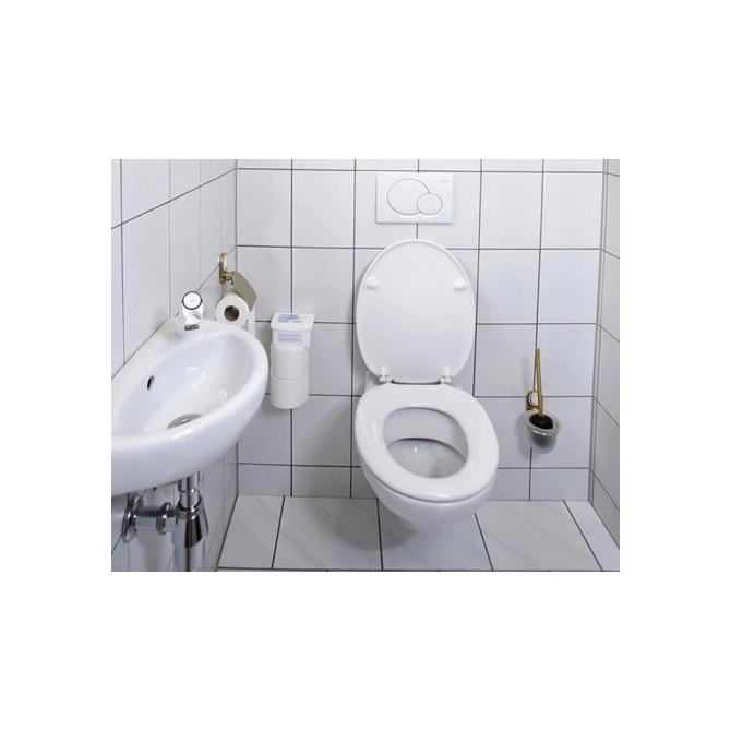 Sanitairreiniger HG Alledag spray 500ml