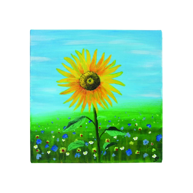 Schildersdoek Qrea Studio 20x20cm