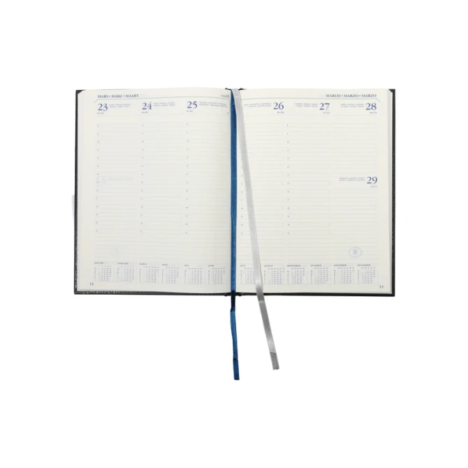 Schoolagenda 2026-2027 18mnd Ryam Executive Mundior 7dagen/2pagina's zwart