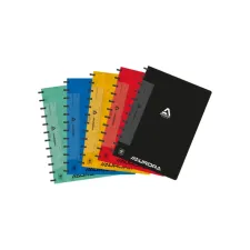 Schrift Adoc Classic A4 ruit 4x8mm 144 pagina's 90gr assorti