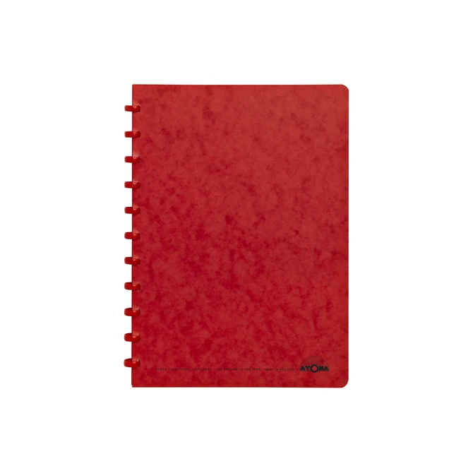 Schrift Atoma A4 lijn 144blz 90gr karton assorti