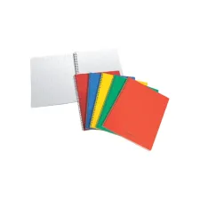 Schrift Aurora 80x135mm ruit 5x5mm 200 pagina's 60gr assorti