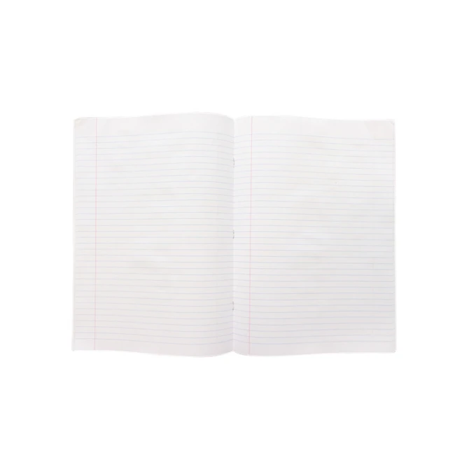 Schrift Kangaro A4 lijn 160 pagina's  60gr assorti pak à 5 stuks