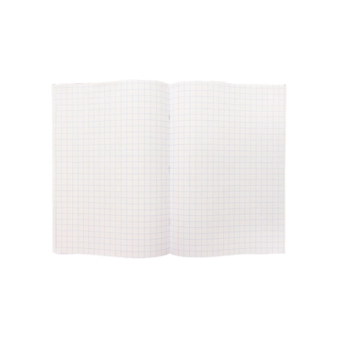 Schrift Kangaro A4 ruit 10mm 160 pagina's 60gr assorti pak  à 5 stuks