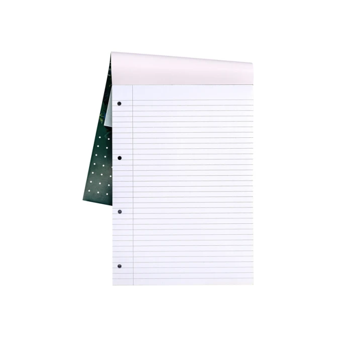 Schrijfblok Pukka Pad Recycled A4 lijn 4-gaats 100 vel 80gr