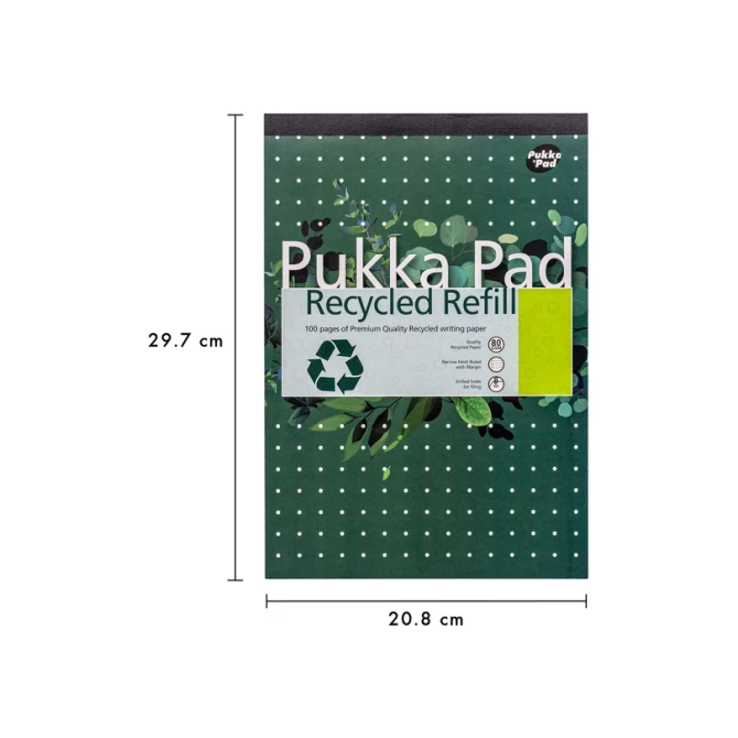 Schrijfblok Pukka Pad Recycled A4 lijn 4-gaats 100 vel 80gr