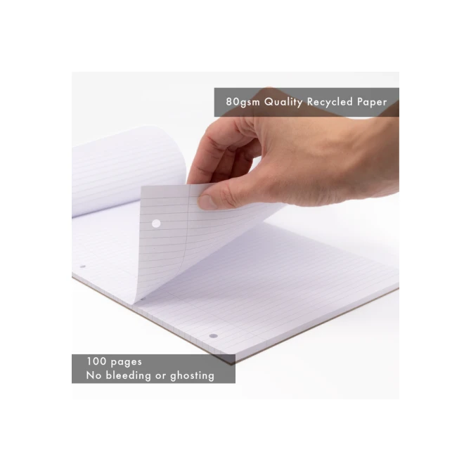 Schrijfblok Pukka Pad Recycled A4 lijn 4-gaats 100 vel 80gr