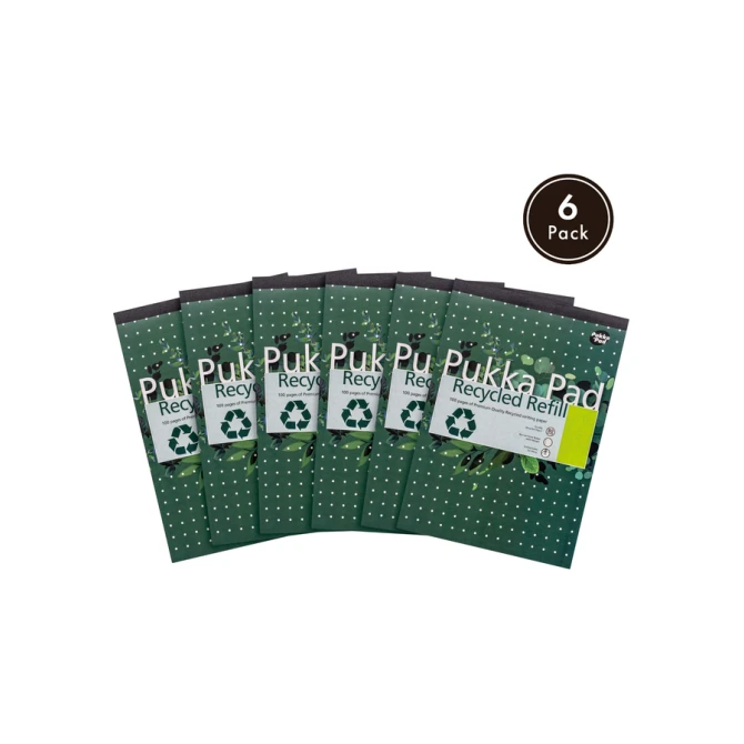 Schrijfblok Pukka Pad Recycled A4 lijn 4-gaats 100 vel 80gr