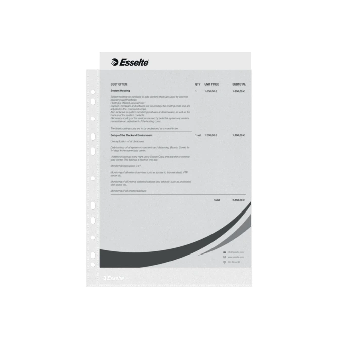 Showtas Esselte Economy copy safe 0.05mm PP A4 100 stuks