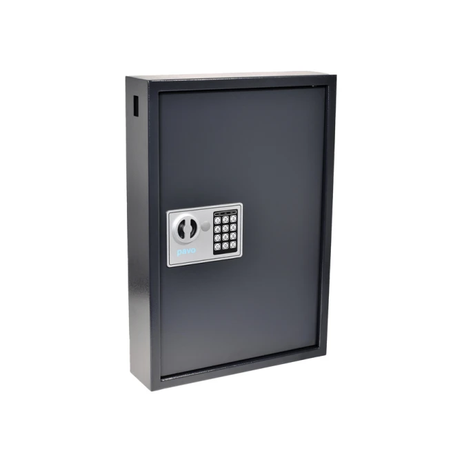 Sleutelkast Pavo high security 50 haken 550x380x100mm