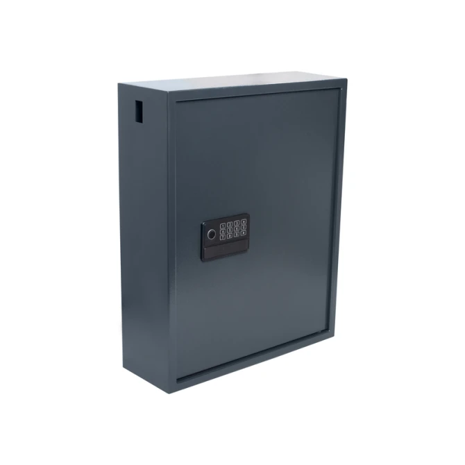 Sleutelkast Pavo High security advanced 150 haken 550x380x150mm