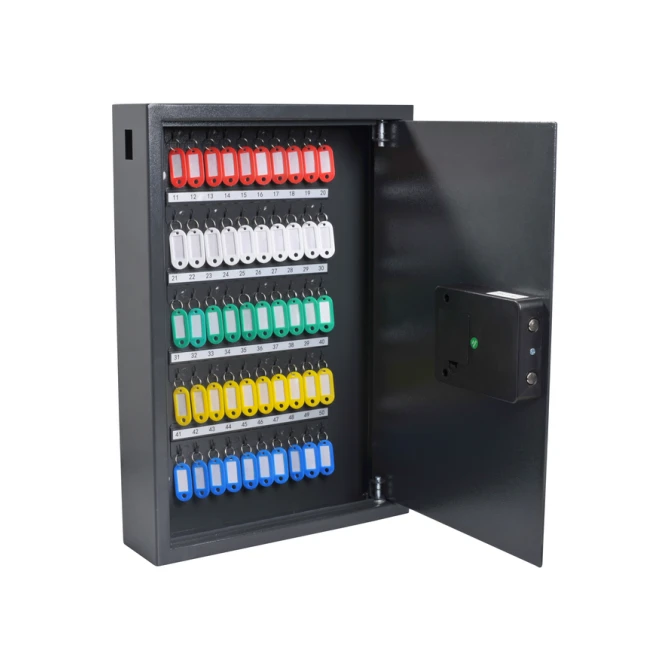 Sleutelkast Pavo High security advanced 50 haken 550x380x100mm
