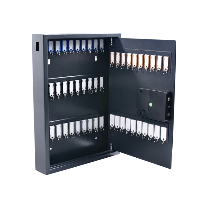Sleutelkast Pavo high security magnetisch 50 haken 575x450x77mm