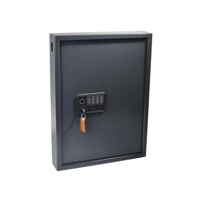 Sleutelkast Pavo high security magnetisch 50 haken 575x450x77mm