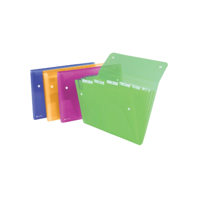 Sorteermap Rexel Ice 6-vaks assorti