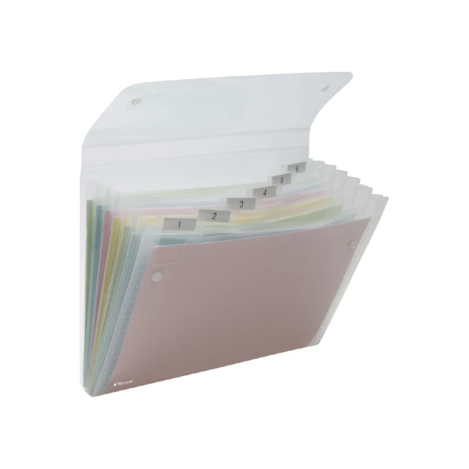 Sorteermap Rexel Ice 6-vaks transparant