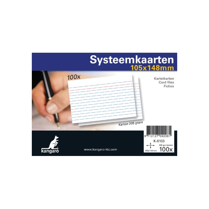 Systeemkaarten A6 105x148mm 100 stuks