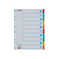 Tabbladen Esselte Standaard A4 10-delig karton 11-rings met voorblad assorti