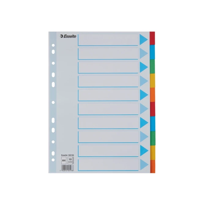 Tabbladen Esselte Standaard A4 10-delig karton 11-rings met voorblad assorti