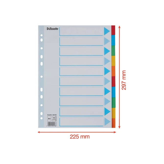 Tabbladen Esselte Standaard A4 10-delig karton 11-rings met voorblad assorti