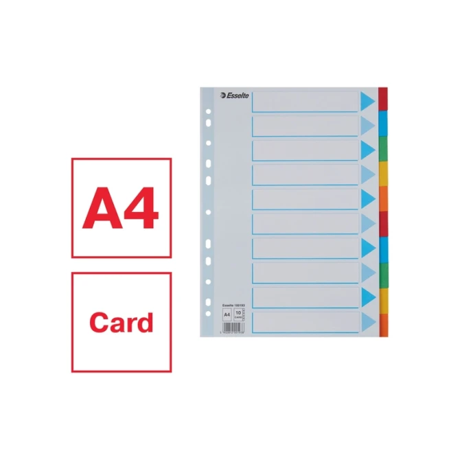 Tabbladen Esselte Standaard A4 10-delig karton 11-rings met voorblad assorti