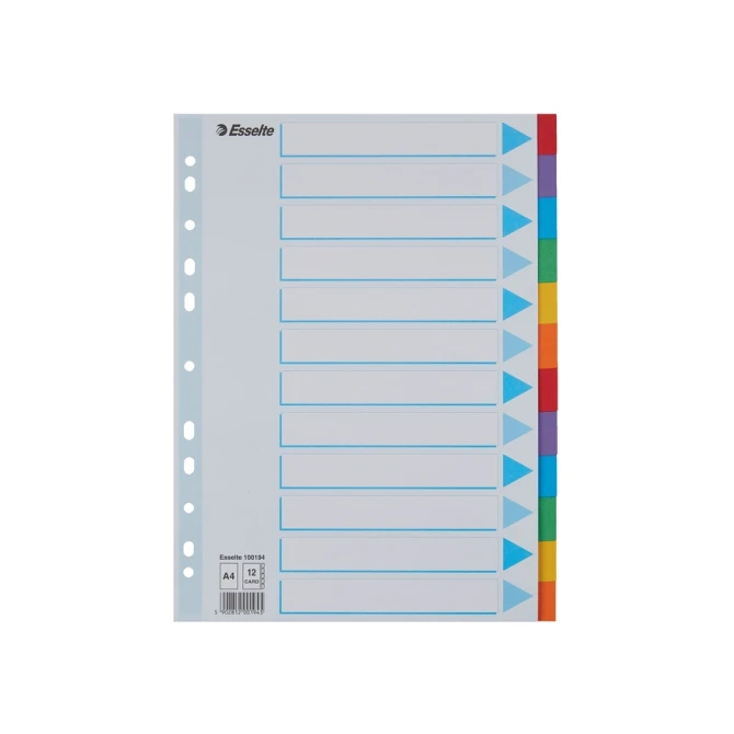 Tabbladen Esselte Standaard A4 12-delig karton 11-rings met voorblad assorti