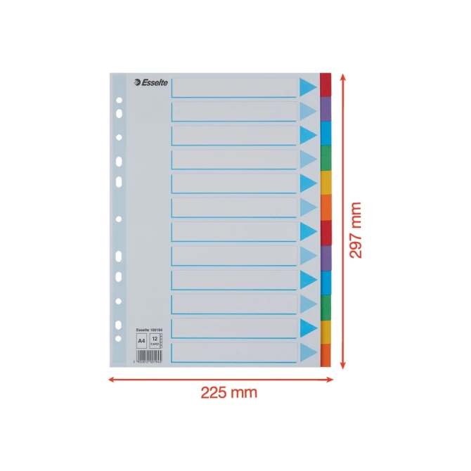 Tabbladen Esselte Standaard A4 12-delig karton 11-rings met voorblad assorti