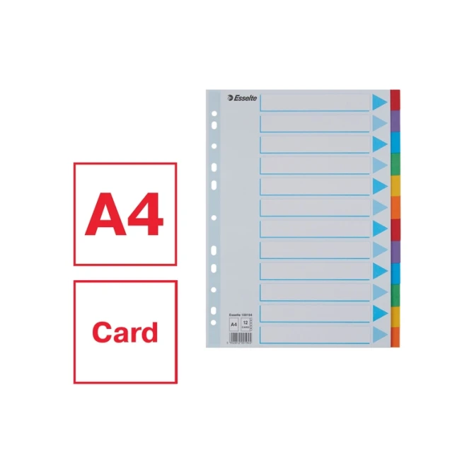 Tabbladen Esselte Standaard A4 12-delig karton 11-rings met voorblad assorti