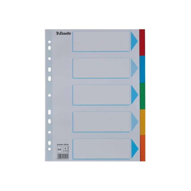 Tabbladen Esselte Standaard A4 5-delig karton 11-rings met voorblad assorti
