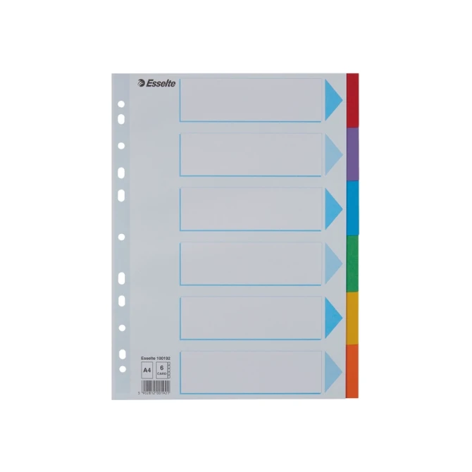 Tabbladen Esselte Standaard A4 6-delig karton 11-rings met voorblad assorti