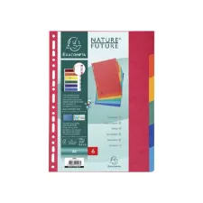 Tabbladen Exacompta 225x297mm 11-gaats 6-delig glanskarton