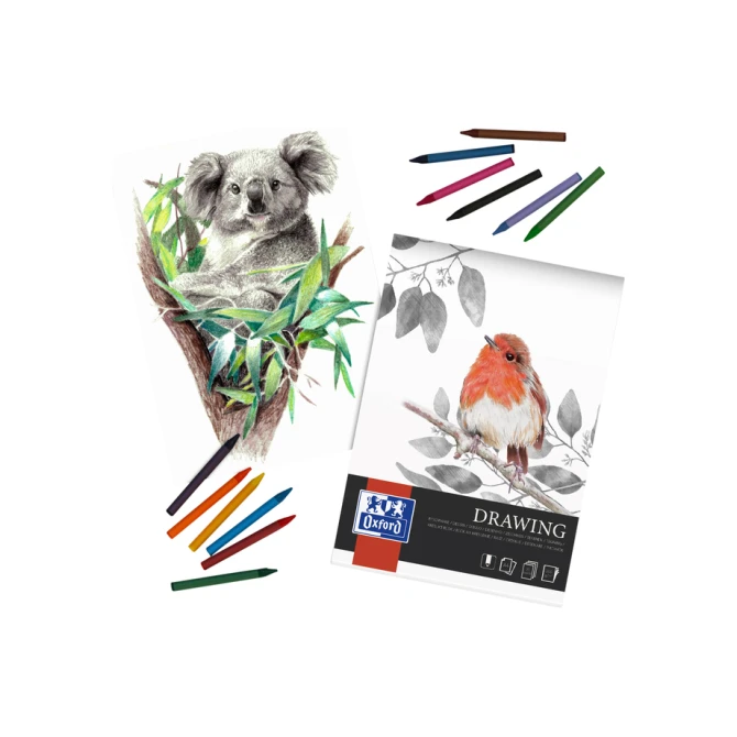 Tekenblok Oxford Drawing A4 40 vel 160 gram