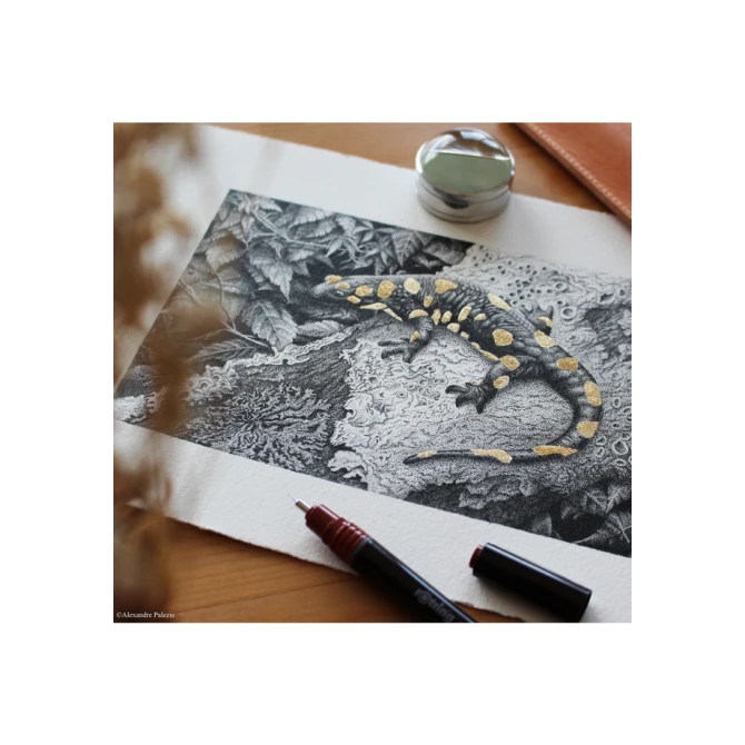 Tekenset rOtring Isograph 7-delig