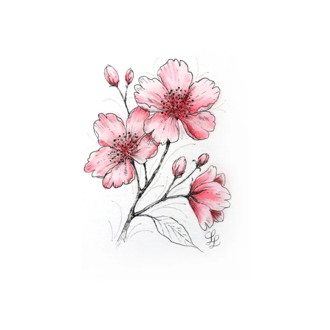 Tekenset Sakura Creative Kit Cherry Blossom 6 stuks