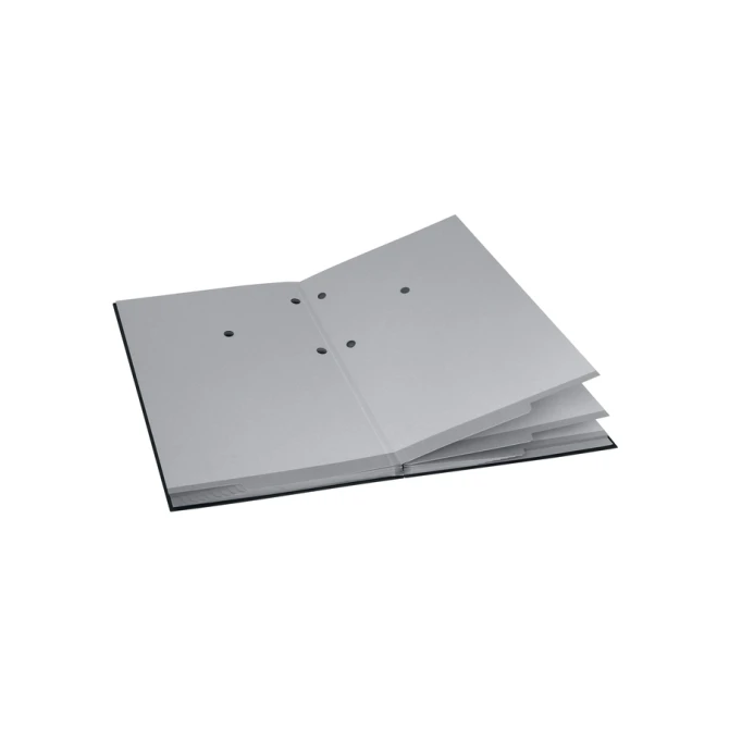 Vloeiboek Esselte 6210 karton 20 tabbladen zwart