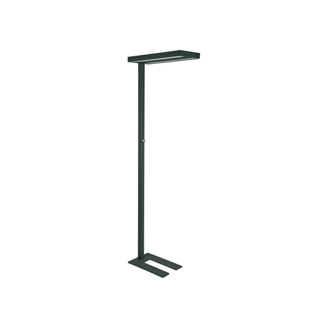 Vloerlamp MAUL Javal LED dimbaar zwart hoog 195cm