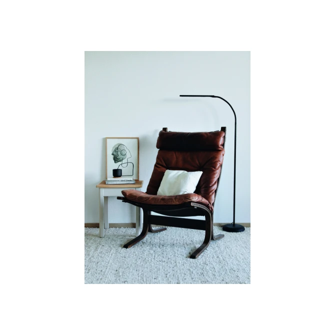 Vloerlamp MAUL Pirro LED dimbaar zwart