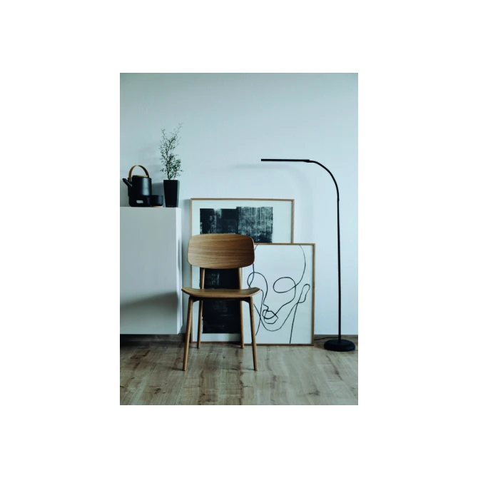 Vloerlamp MAUL Pirro LED dimbaar zwart