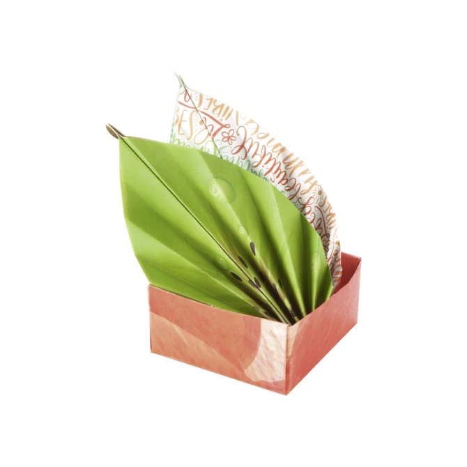 Vouwblaadjes Folia 80gr 15x15cm 50 vel 2-zijdig 10 tropical designs