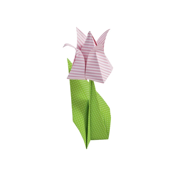Vouwblaadjes Folia 80gr 20x20cm 50 vel 2-zijdig 10 basics designs